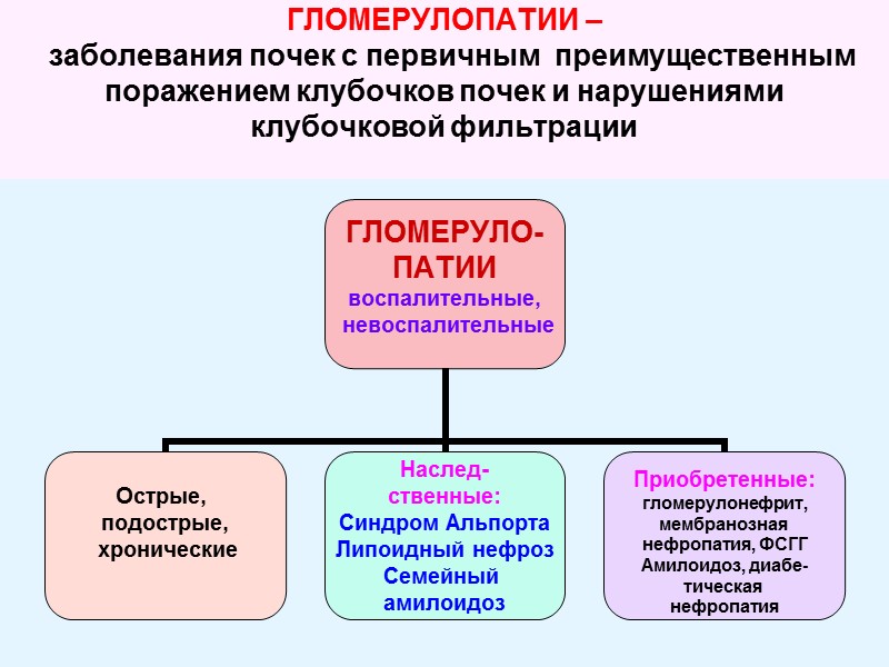 ГЛОМЕРУЛОПАТИИ –   заболевания почек с первичным  преимущественным поражением клубочков почек и